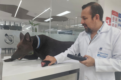 El simulador robótico K9 permite a los estudiantes de Medicina Veterinaria de la Universidad Ecotec practicar procedimientos clínicos y emergencias médicas en un entorno seguro