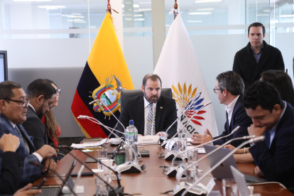 La Comisión del Desarrollo Económico, Productivo y la Microempresa de la Asamblea Nacional sesionó de manera virtual.