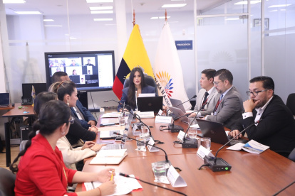 Diana Jácome, presidenta de la Comisión de Participación, dio inicio a las comparecencias para fiscalizar los efectos del fallo de la CC sobre las solicitudes de los adolescentes para el cambio de género en el Registro Civil.