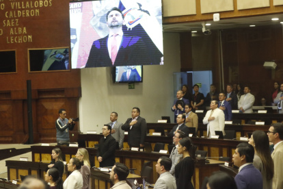 El Legislativo, en el actual periodo, está controlado por ADN, el movimiento oficialista.