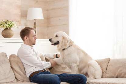 Tener mascotas en departamentos es legal en Ecuador, pero los ladridos constantes de perros pueden generar sanciones si afectan la convivencia y el descanso de los vecinos.