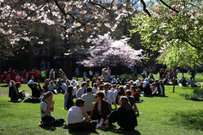 Varias personas se sientan bajo los cerezos en flor en St James's Park, en Londres, Gran Bretaña, el 18 de marzo de 2026.
