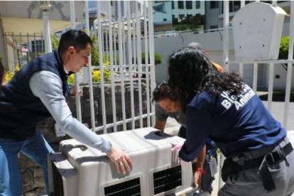 El ataque al niño ocurrió en el barrio de San Roque.