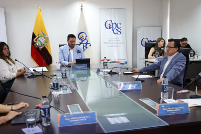 El fallo de la Corte Constitucional abre la posibilidad para quitarle al Consejo de Participación la atribución para la designación de autoridades.