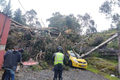 Taxi quedó atrapado entre ramas y cables eléctricos en Conocoto.