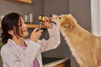 La medicina homeopática aplicada a animales continúa generando debate dentro del campo veterinario.