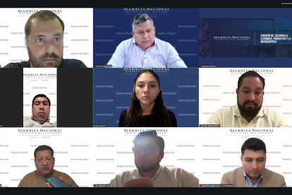 Con ocho votos a favor pasa el informe para el segundo debate del Proyecto de Ley Orgánica para el Fortalecimiento de los Sectores Estratégicos de Minería y Energía.