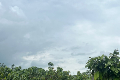 La temporada invernal ya deja fallecidos, miles de personas afectadas y daños en viviendas, cultivos e infraestructura