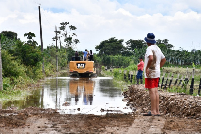 Productores temen que la propagación del fusarium llegue por los canales de riego
