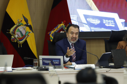 Pabel Muñoz durante la sesión del Concejo el 24 de febrero de 2026.