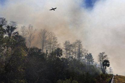 Las aves vuelan junto a un incendio forestal en el Parque Nacional Big Cypress, Jerome, Florida, EE.UU.