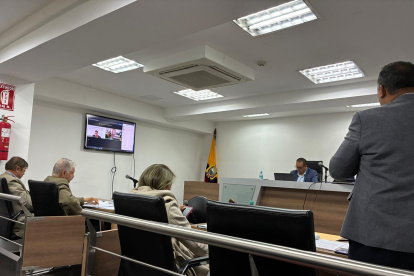 Durante la audiencia de acción de protección