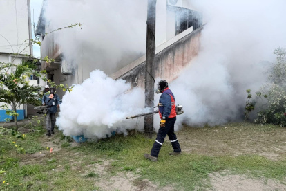 Fumigación del MSP en provincias priorizadas por brote de dengue.