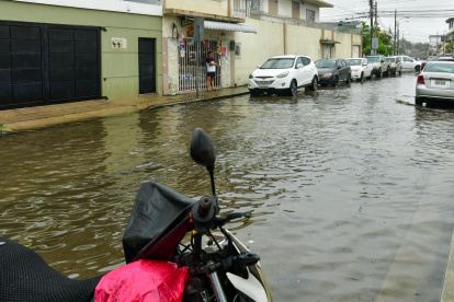 Zonas del norte y del sur nuevamente se vieron afectadas por las lluvias registradas este 19 de febrero. Aegaciones puntuales y caída de árboles obligaron intervenciones de emergencia.