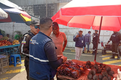 Comercio ilegal de cangrejos en Guayaquil.