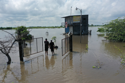 Afectados del recinto Mar Negro perdieron gran parte de sus plantaciones y han sufrido daños en las viviendas.
