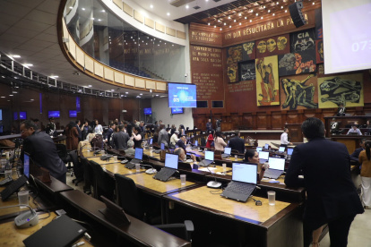 El Pleno de la Asamblea no autorizó el levantamiento de la inmunidad de la asambleísta Mónica Palacios.