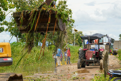 Maquinaria remueve cultivos echados a perder y habilita caminos