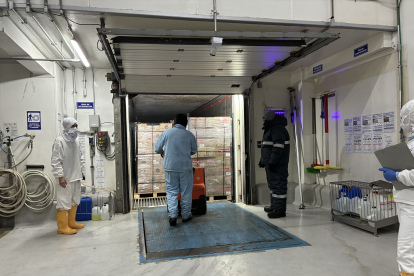 Embarque de los productos congelados para exportar a Bolivia.