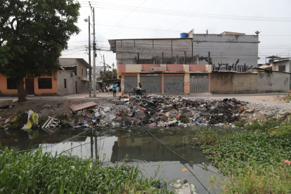 Ecosistema. En los canales naturales de Durán hay basura sobre el agua y en las orillas.