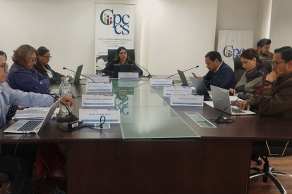 Desde enero de 2026, el Consejo de Participación Ciudadana y Control Social (CPCCS) activó el concurso para reemplazar a Diana Salazar.