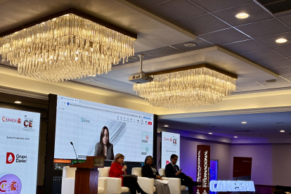 Panel "Comercio Exterior en el Nuevo Orden Mundial", 2do Congreso de Comercio Exterior. CAMESPA.