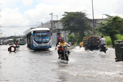 La resolución establece un plazo de 90 días para la aplicación de medidas urgentes.