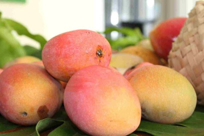 Frutas ecuatorianas en EE. UU.: cómo cambia el precio del banano, piña y mango.