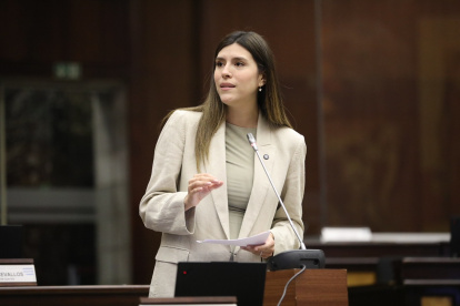 La asambleísta Valentina Centeno (ADN) dijo que el incentivo tributario propuesto en la Ley urgente de Noboa permitirá motivar la construcción de vivienda de manera más eficiente.