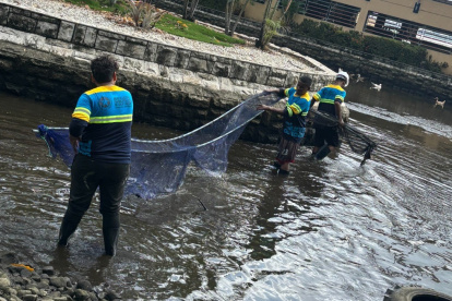 Mantenimiento en las lagunas artificiales del Malecón 2000.
