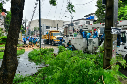 Un árbol cayó en la avenida José de la Cuadra, en Las Acacias, sur de Guayaquil.