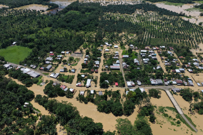 Más de 2.500 personas en Muisne perdieron sus hogares y cultivos tras el desbordamiento de cuatro ríos.