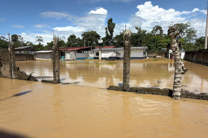 El cacao, el plátano y los cultivos de ciclo corto —sustento vital de estas comunidades— quedaron destruidos.