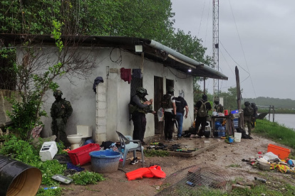 La estructura operaba con roles definidos para transporte, custodia y distribución de sustancias ilícitas.
