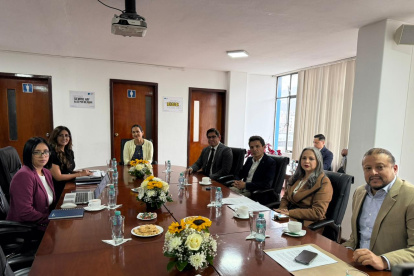 En la reunión estuvo la Ministra de Ambiente, la gerente de la EEQ y los concejales que integran la comisión.