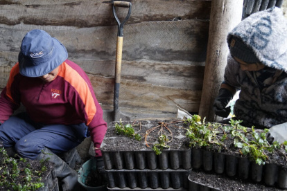 La capacitación en comunidades agrícolas es una de las estrategias para mejorar la gestión del agua y reducir riesgos de escasez en el largo plazo