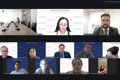 La sesión de la Comisión de la Niñez se desarrolló este 19 de marzo 2026 de forma virtual.