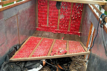 Referencial. En Ecuador se han reportado varios casos de decomiso de explosivos.