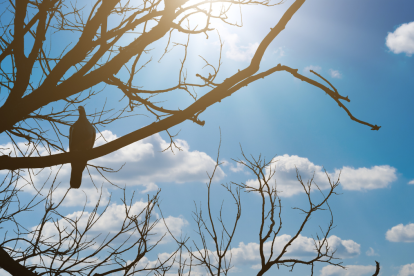 Referencial. Ecuador enfrenta este 27 de marzo lluvias intensas, tormentas eléctricas y niveles extremos de radiación UV.