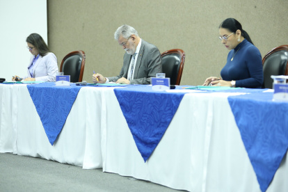 El Pleno del CNE se reunió para tratar la actualización del cronograma electoral.