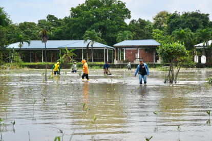 Siembra de manglar en el Parque Histórico.