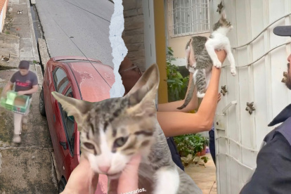 El hecho quedó captado en un video.