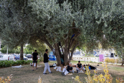 Migrantes argelinos descansan a la sombra de un árbol en un parque de la Estación Marítima de Palma de Mallorca, el 24 de agosto de 2025.