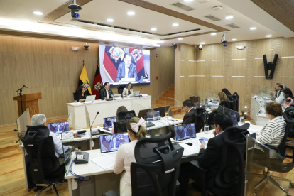 Referencia. El Concejo Metropolitano de Quito analiza una normativa que busca eliminar barreras y promover una ciudad inclusiva.