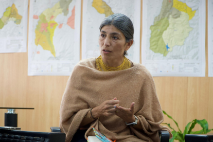 La política Paolina Vercoutère Quinche es la viceprefecta de Imbabura.