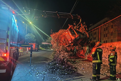 Un auto se volcó e impactó contra un árbol que cayó sobre el vehículo en el sector San Carlos, norte de Quito.