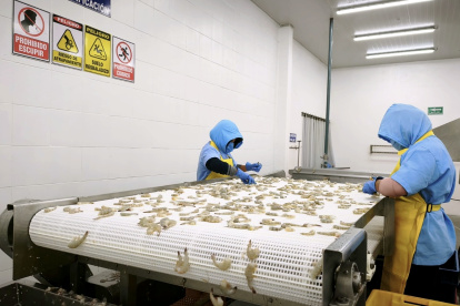 Las exportaciones impulsaron el crecimiento económico en 2025.