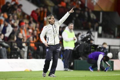El entrenador Sebastián Beccacece dirigiendo a Ecuador ante Países Bajos.