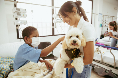 El auge de los ‘perrihijos’ refleja un cambio claro en la forma en que las personas se relacionan con sus perros.