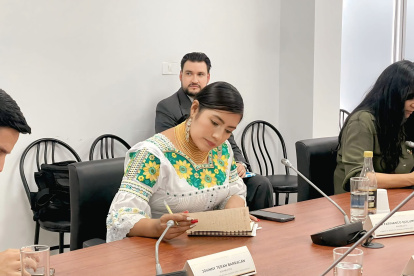 Dina Farinango, asambleísta por Pachakutik , solicita al SRI detalles sobre alza del IVA en alimentos